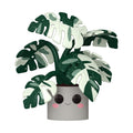 Funko Pop! Jumbo: Flora - Monstera #13 10 Pulgadas